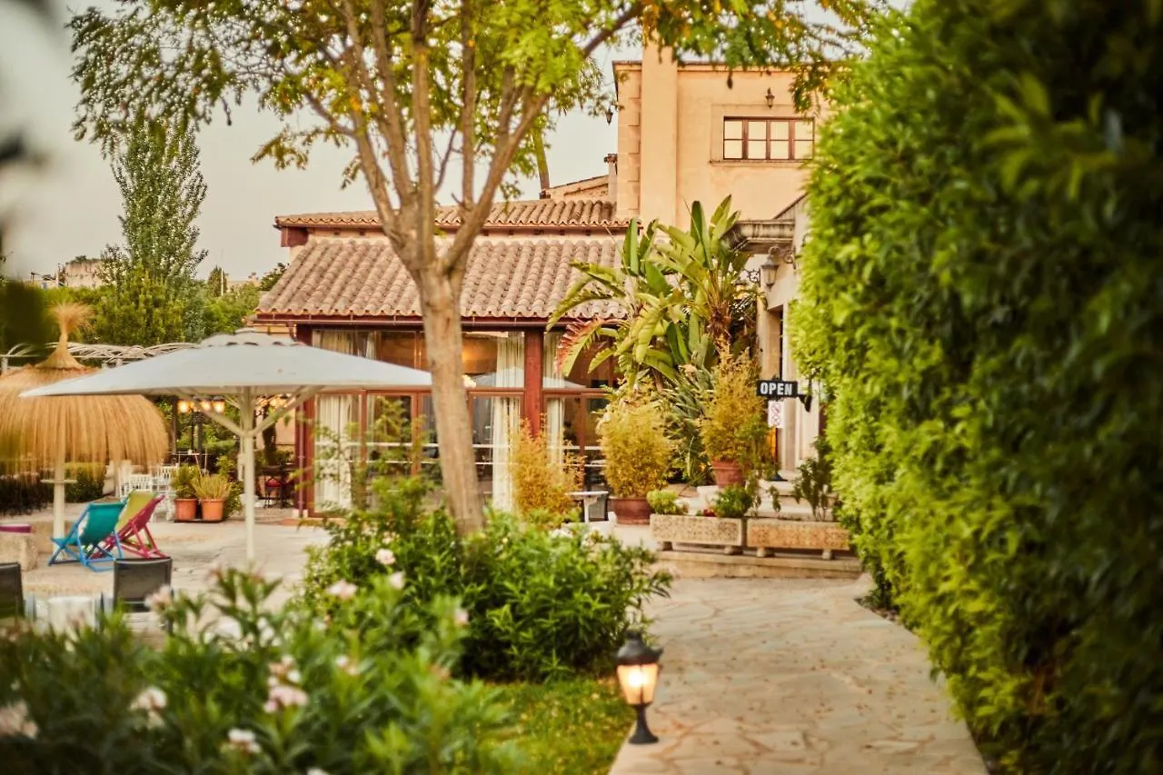 Agroturismo Sa Vinya Des Convent 잉카 팜스테이